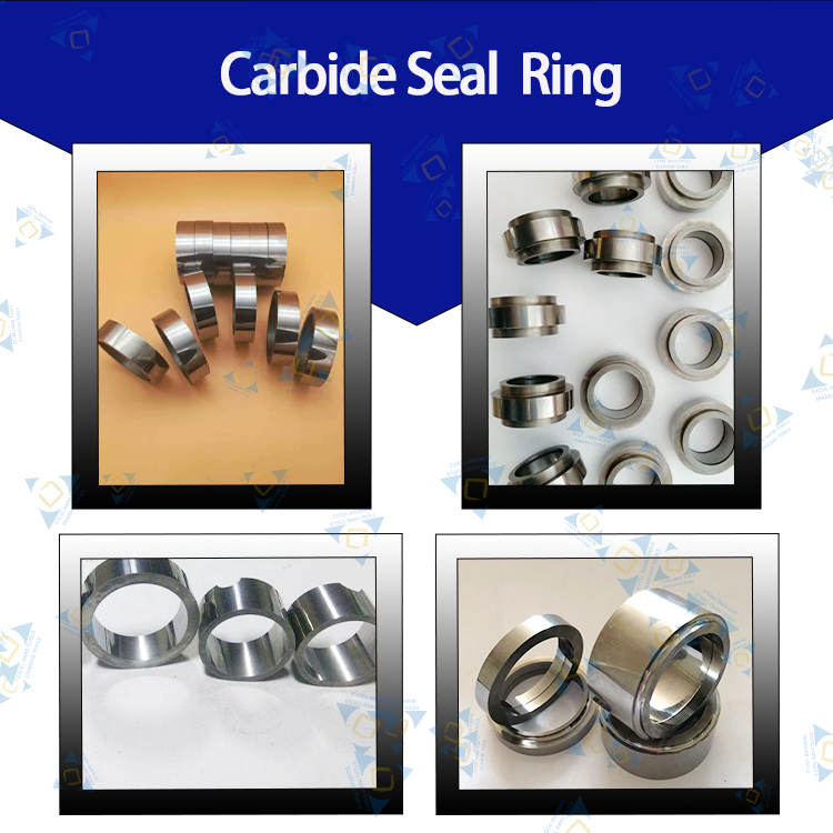 carbide seal ring with waterprint.png